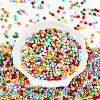 Baking Paint Glass Seed Beads SEED-N007-02C-2