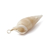 Natural Spiral Shell Pendants PALLOY-JF02951-5