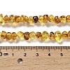 Natural Amber Beads Strands G-L095-L01-01-5