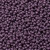 MIYUKI Round Rocailles Beads SEED-JP0009-RR4489-3