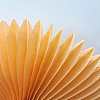 Paper Fan AJEW-WH0005-25cm-12-1