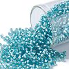 TOHO Round Seed Beads SEED-XTR11-0023F-1