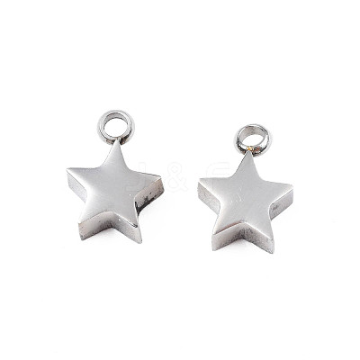 Non-Tarnish 304 Stainless Steel Charms STAS-N095-138-1