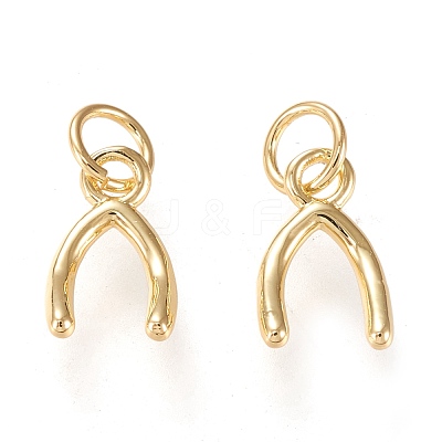 Brass Charms KK-K250-03G-1