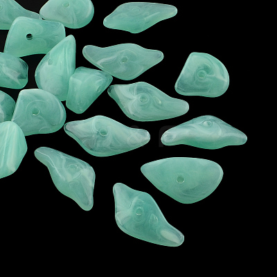 Chip Imitation Gemstone Acrylic Beads OACR-R021-19-1