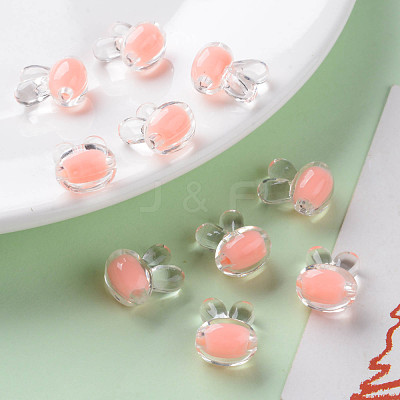 Transparent Acrylic Beads TACR-S152-05A-SS2109-1