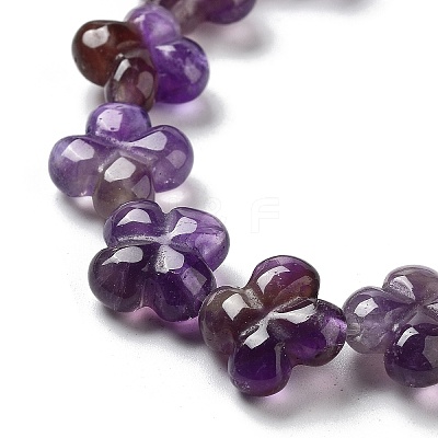 Natural Amethyst Beads Strands G-P520-A07-01-1