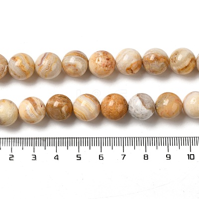 Natural Crazy Lace Agate Beads Strands G-H298-A12-05-1