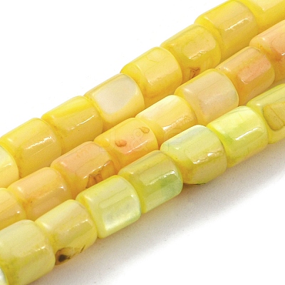 Natural Freshwater Shell Beads Strands SHEL-F008-04E-1