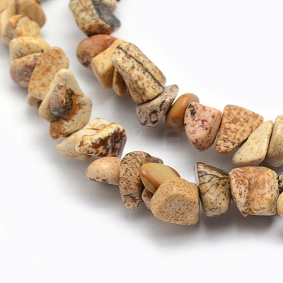 Natural Picture Jasper Beads Strands G-P332-19-1
