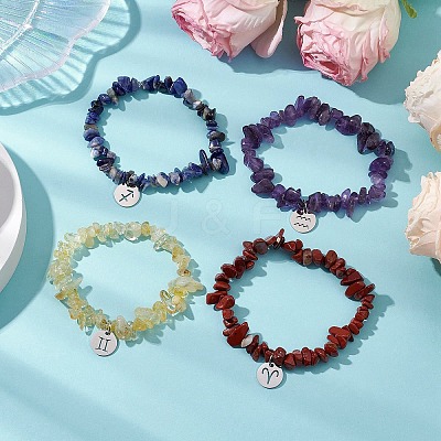 12Pcs 12 Styles Constellations Guardian Gemstone Stretch Bracelets BJEW-JB11147-1
