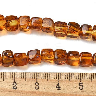 Natural Amber Beads Strands G-K387-E01-01-1