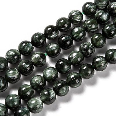 Natural Seraphinite Beads Strands G-E557-22D-1