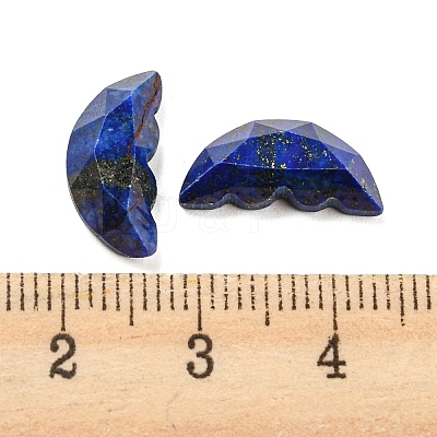 Natural Lapis Lazuli Dyed Butterfly Wing Cabochons G-D078-02G-1