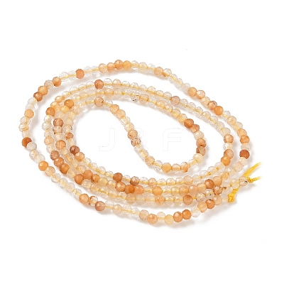 Natural Yellow Rabbit Fur Rutilated Quartz Beads Strands G-L622-C01-2mm-1
