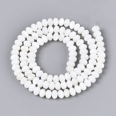Natural Freshwater Shell Beads Strands SHEL-N038-30-1