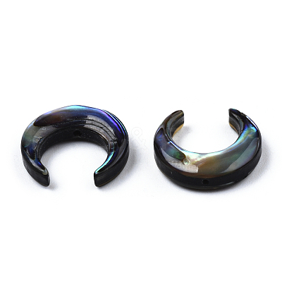 Natural Abalone Shell/Paua Shell Beads SSHEL-N034-122B-01-1