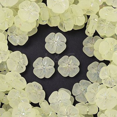 Frosted Transparent Acrylic Beads OACR-P029-19B-03-1