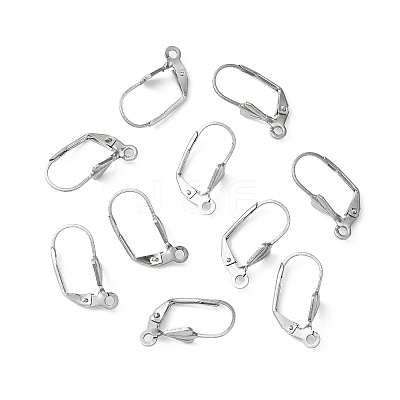 Tarnish Resistant 304 Stainless Steel Leverback Earring Findings X-STAS-E007-2-1