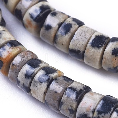 Natural Dalmatian Jasper Beads Strands G-I265-08-1