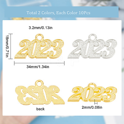 20Pcs 2 Colors Alloy Pendants FIND-SC0004-10-1