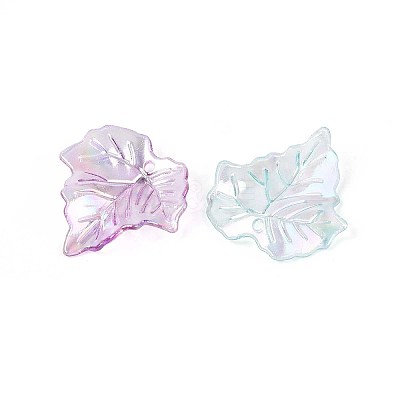 Transparent Acrylic Pendants OACR-N149-02-1