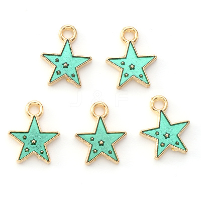 Alloy Enamel Charms X-ENAM-S121-028B-1