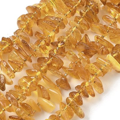 Natural Amber Beads Strands G-L095-D01-03-1
