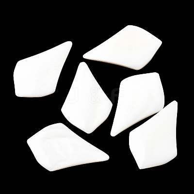 Natural Freshwater Shell Cabochons SHEL-K006-04-1