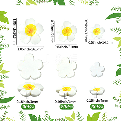 3 Styles Plastic Cabochons FIND-SC0019-49-1