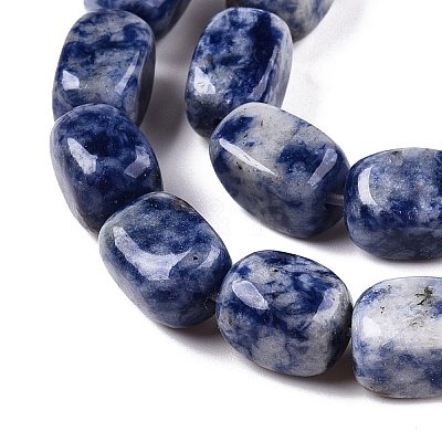 Natural Blue Spot Jasper Beads Strands G-T138-101-1