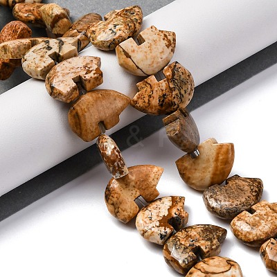 Natural Picture Jasper Beads Strands G-F783-G03-01-1