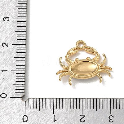 304 Stainless Steel & Natural Shell & Enamel Pendants SA-CBACF51-02G-1