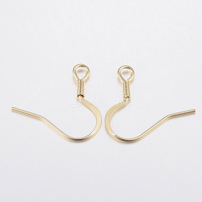 304 Stainless Steel Earring Hooks STAS-G179-46G-1