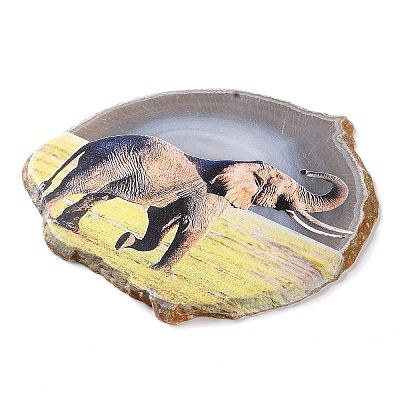 Printed Natural Agate Slice Stone Ornament DJEW-M011-03I-1