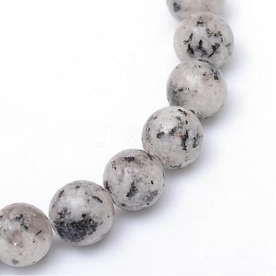 Natural Sesame Jasper/Kiwi Jasper Bead Strands G-R345-10mm-11-1