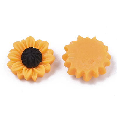 Resin Cabochons X-CRES-T010-57A-1