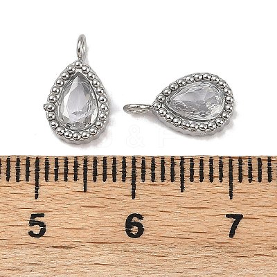 304 Stainless Steel Micro Pave Cubic Zirconia Charms STAS-K302-01C-P-1