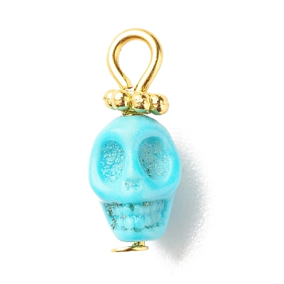Dyed Synthetic Turquoise Charms PALLOY-JF01452-02-1