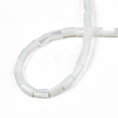 Natural Freshwater Shell Beads Strands SHEL-N003-26-A01-1