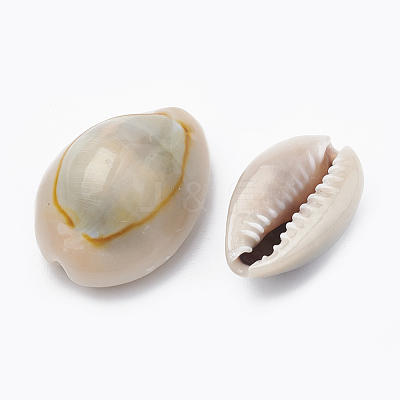 Cowrie Shell Beads SSHEL-T004-04-1