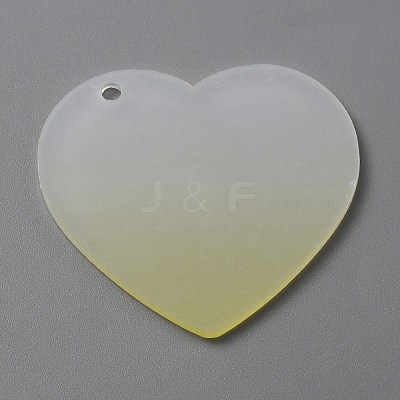 Gradient Transparent Acrylic Disc Big Pendants LS-FIND-WH0032-54F-1