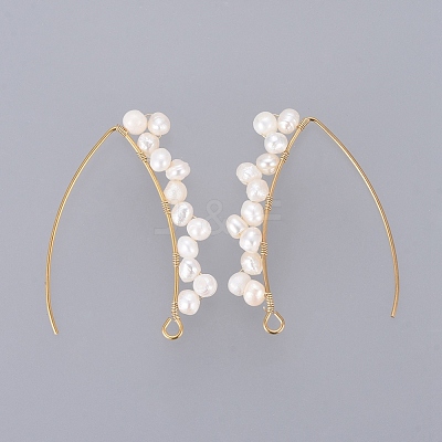 PVD Vacuum Plating 304 Stainless Steel Earring Hooks X-EJEW-JE03759-1