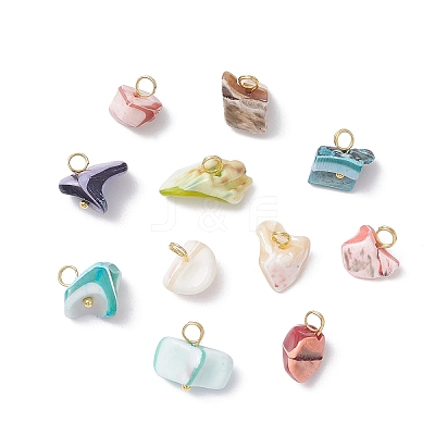 Dyed Natural Shell Chip Charms PALLOY-JF04556-1