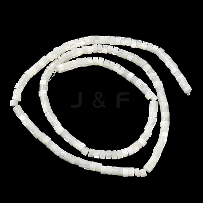 Natural Trochus Shell Beads Strands BSHE-E030-09B-01-1