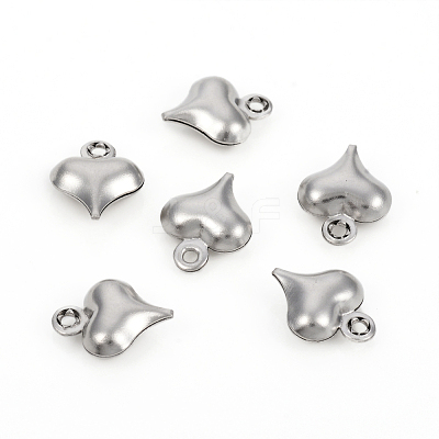 Non-Tarnish 304 Stainless Steel Charms STAS-I149-05B-P-1