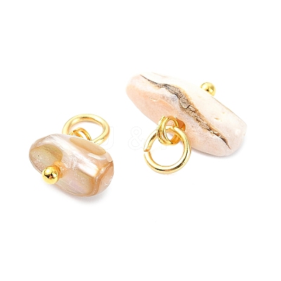 Natural Freshwater Shell Pendants PALLOY-JF05874-02-1