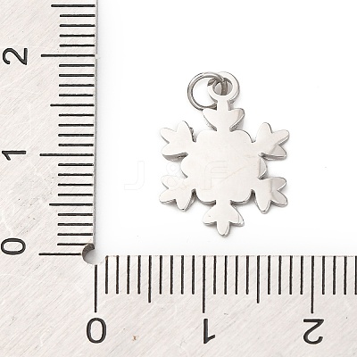 304 Stainless Steel Pendants STAS-A125-12P-1