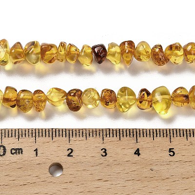 Natural Amber Beads Strands G-L095-L01-01-1