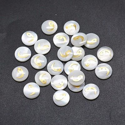 Shell Cabochons SSHEL-E568-A11-1